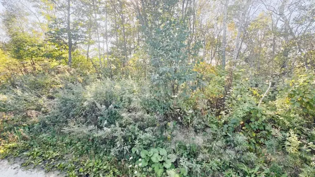 Участок в Сахалинская область, Южно-Сахалинск  (10.0 сот.) - Фото 2