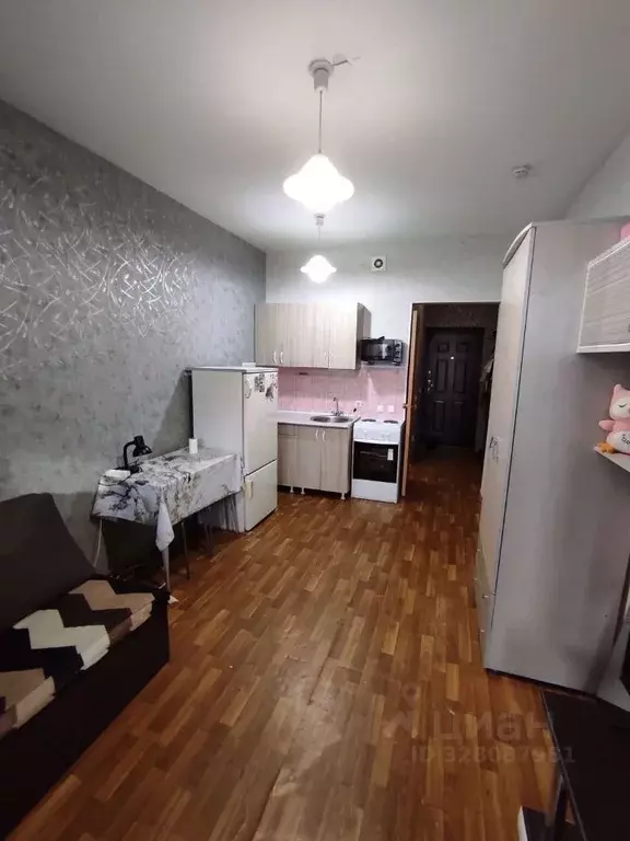 Студия Красноярский край, Красноярск ул. Карамзина, 14 (24.2 м) - Фото 1