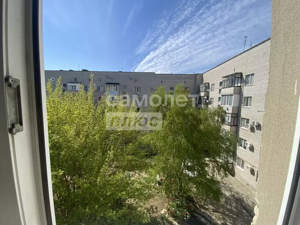 2-к кв. Краснодарский край, Приморско-Ахтарск ул. Ленина, 28 (54.0 м) - Фото 1
