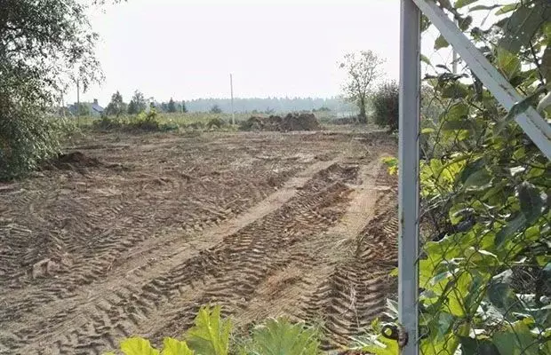 Участок в Московская область, Истра городской округ, д. Борзые  (100.0 ... - Фото 1