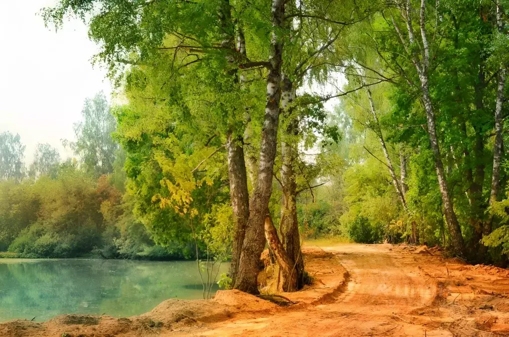 Участок в Владимирская область, Александровский муниципальный округ, ... - Фото 2