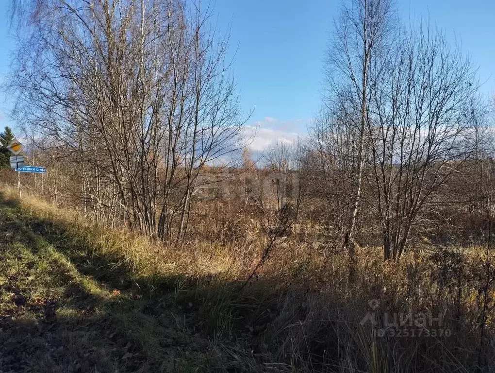 Участок в Смоленская область, Кардымовский муниципальный округ, ... - Фото 1