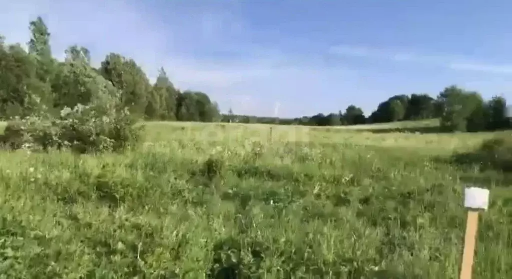 Участок в Ленинградская область, Всеволожский район, Куйвозовское ... - Фото 1