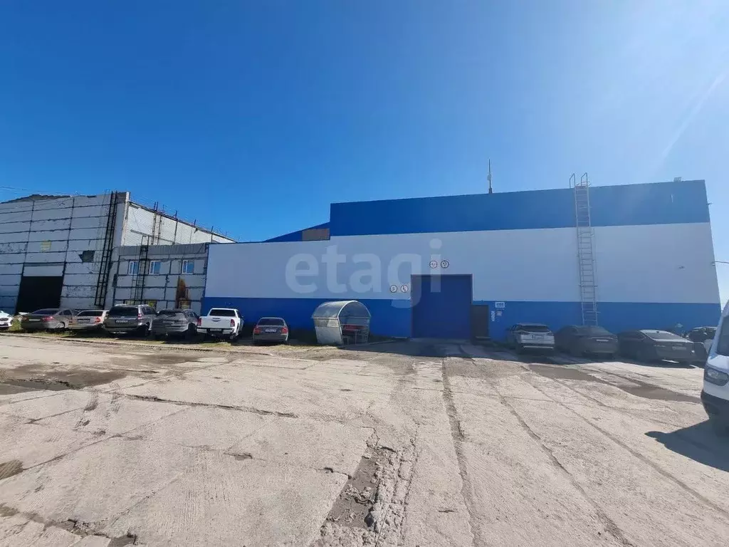 Помещение свободного назначения в Ямало-Ненецкий АО, Новый Уренгой ... - Фото 2