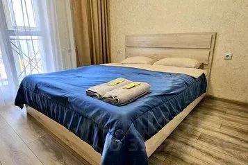 1-к кв. Приморский край, Уссурийск ул. Александра Францева, 40 (40.0 ... - Фото 0