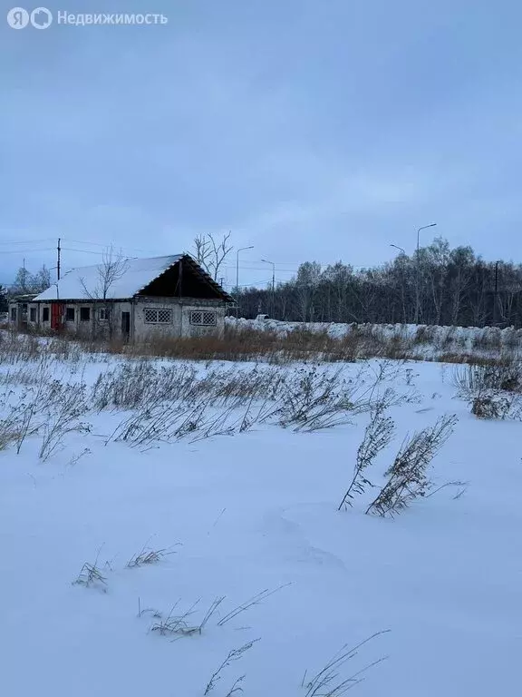 Помещение свободного назначения (139.2 м) - Фото 1