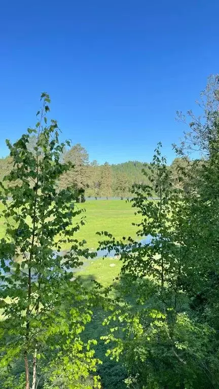 Дом в Алтай, Турочакский район, с. Турочак Береговая ул., 97 (100 м) - Фото 1