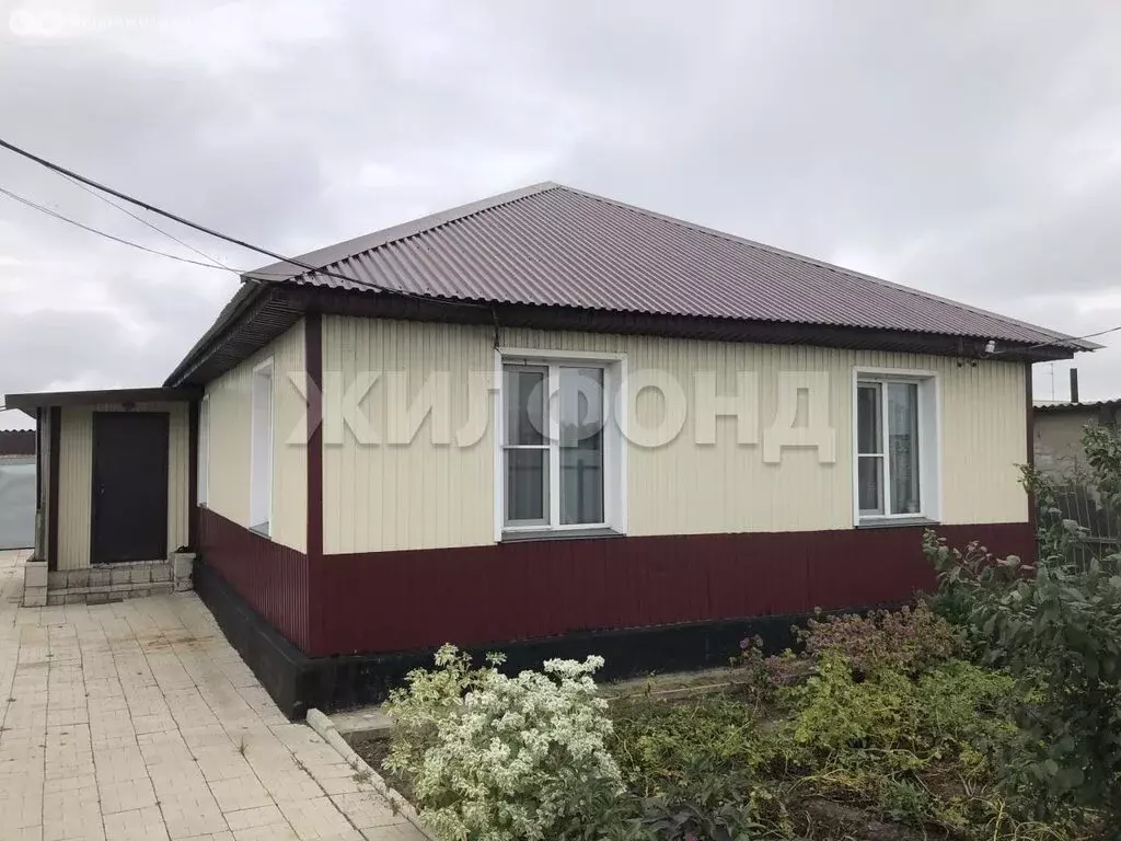 Дом в Карасук, Набережная улица (50.5 м) - Фото 1