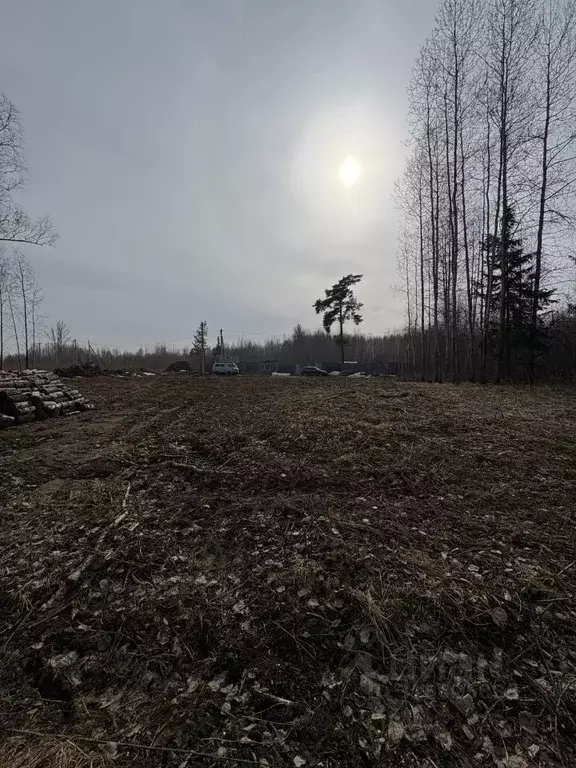 Участок в Томская область, Томск ул. Чайковского, 36 (14.8 сот.) - Фото 1