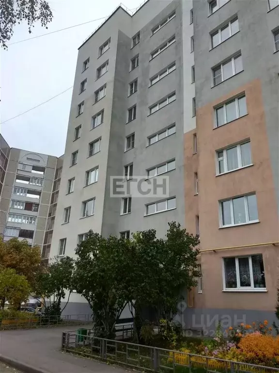 2-к кв. Московская область, Ногинск Богородский городской округ, ул. ... - Фото 2