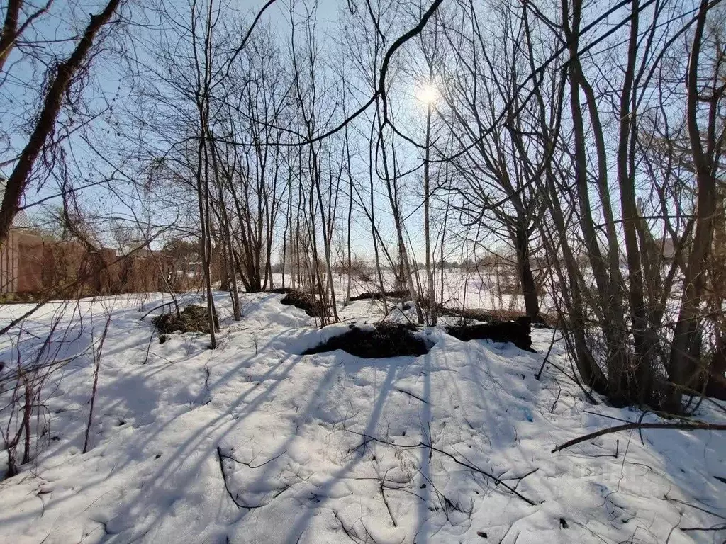 Участок в Московская область, Коломна городской округ, с. Чанки ул. ... - Фото 1