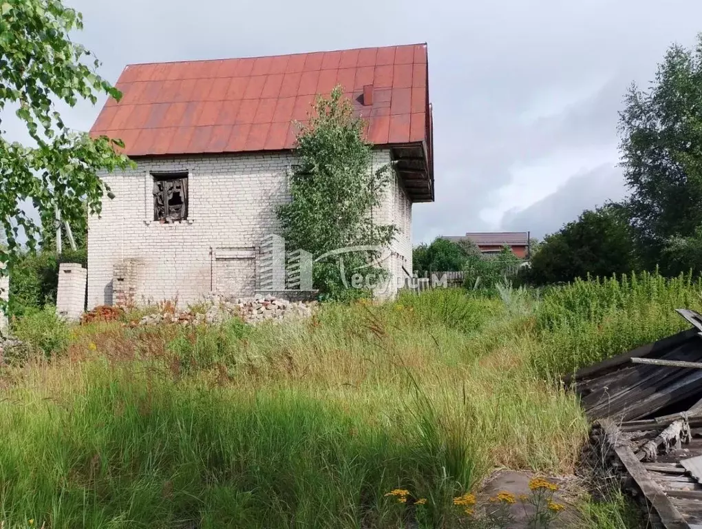 Участок в Нижегородская область, Выкса городской округ, Виля рп ул. ... - Фото 1