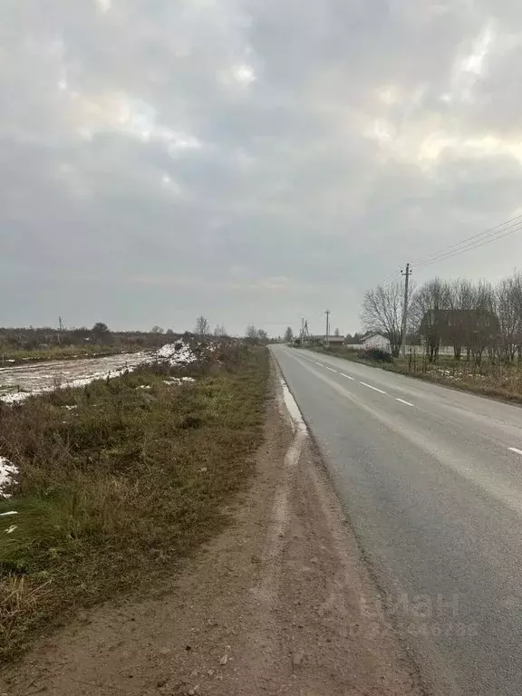 Участок в Псковская область, Псковский район, Завеличенская волость, ... - Фото 1