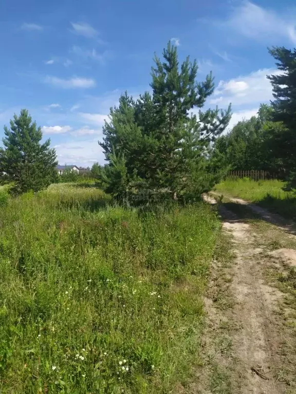 Участок в Владимирская область, Суздальский район, Боголюбовское ... - Фото 1