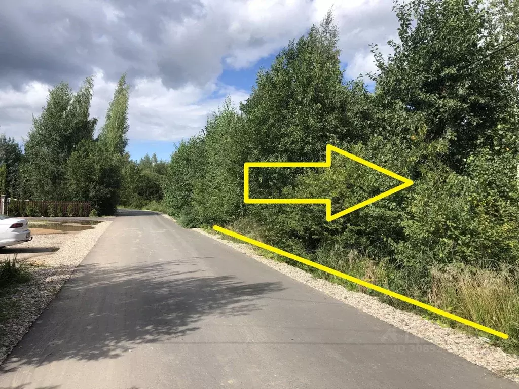 Участок в Новгородская область, Новгородский район, Ермолинское с/пос, ... - Фото 2