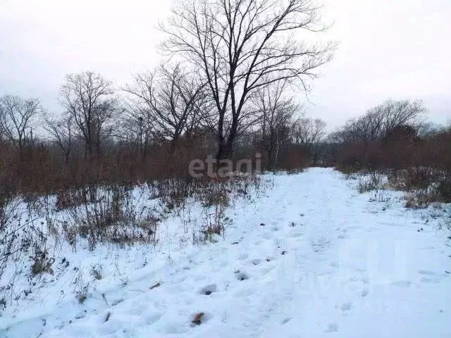 Участок в Пензенская область, Пенза Северная Поляна мкр,  (5.0 сот.) - Фото 1