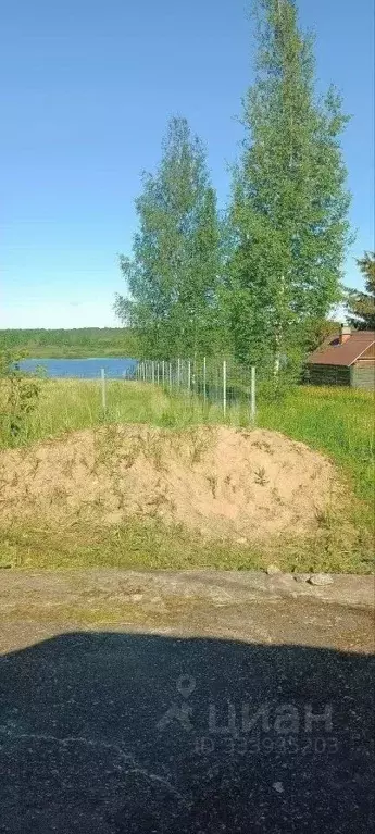 Участок в Новгородская область, Чудовский муниципальный округ, ... - Фото 1