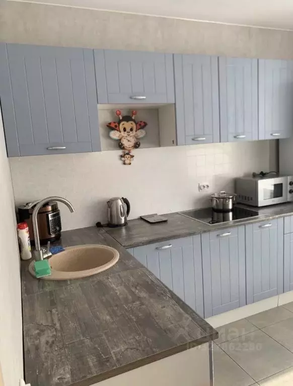 1-к кв. Санкт-Петербург пос. Шушары, Ленсоветовский тер., 23 (35.8 м) - Фото 2