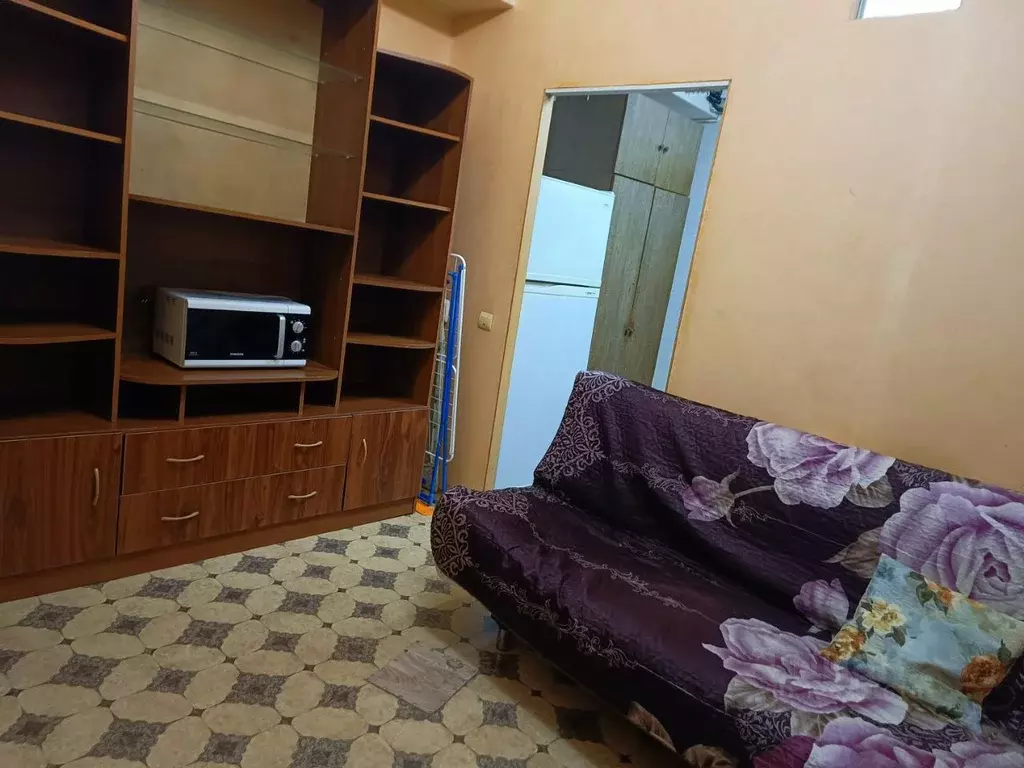 1-к кв. Алтайский край, Барнаул просп. Ленина, 79 (22.0 м) - Фото 2