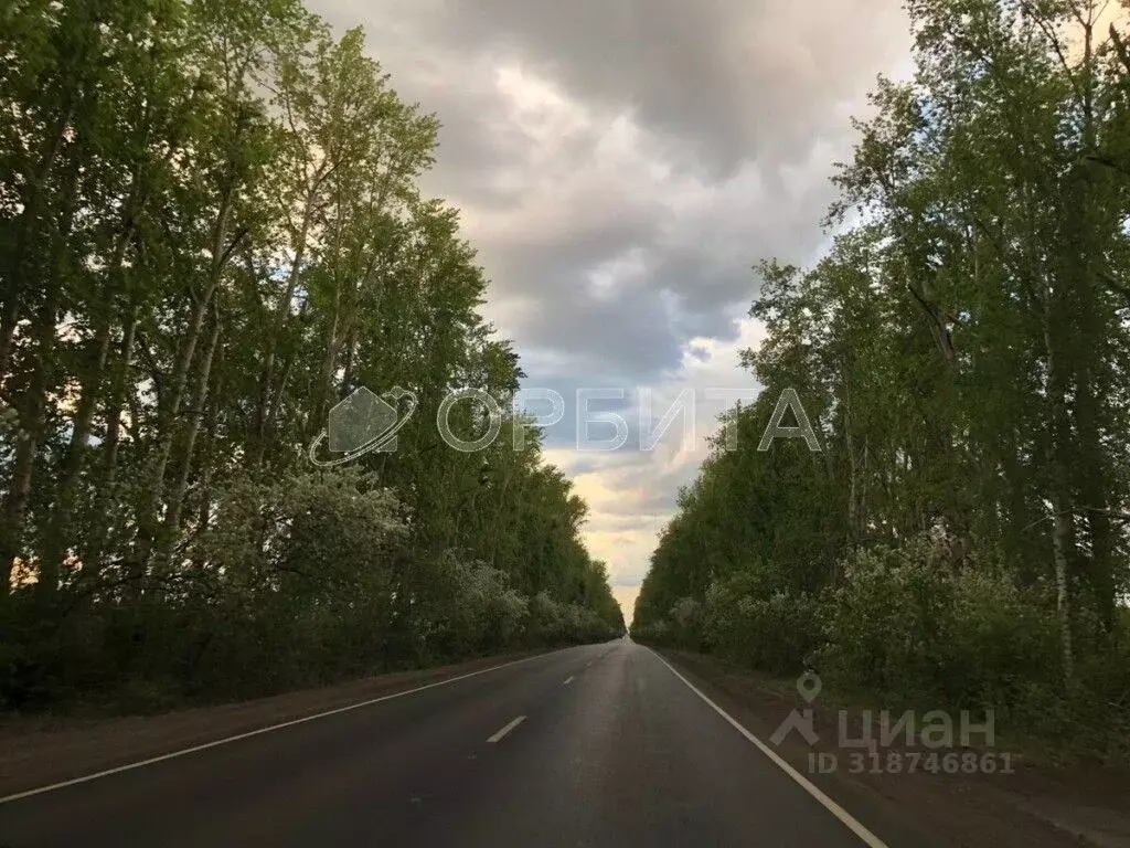 Участок в Тюменская область, Тюменский район, с. Луговое ул. ... - Фото 0