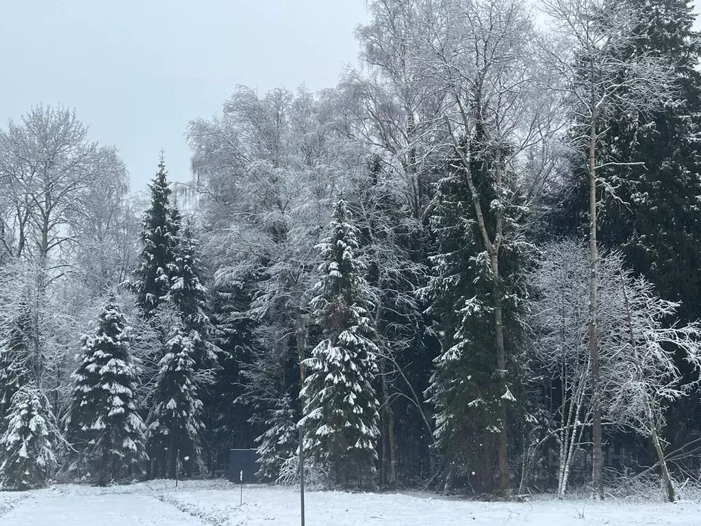 Участок в Московская область, Истра муниципальный округ, д. Дубровское ... - Фото 1