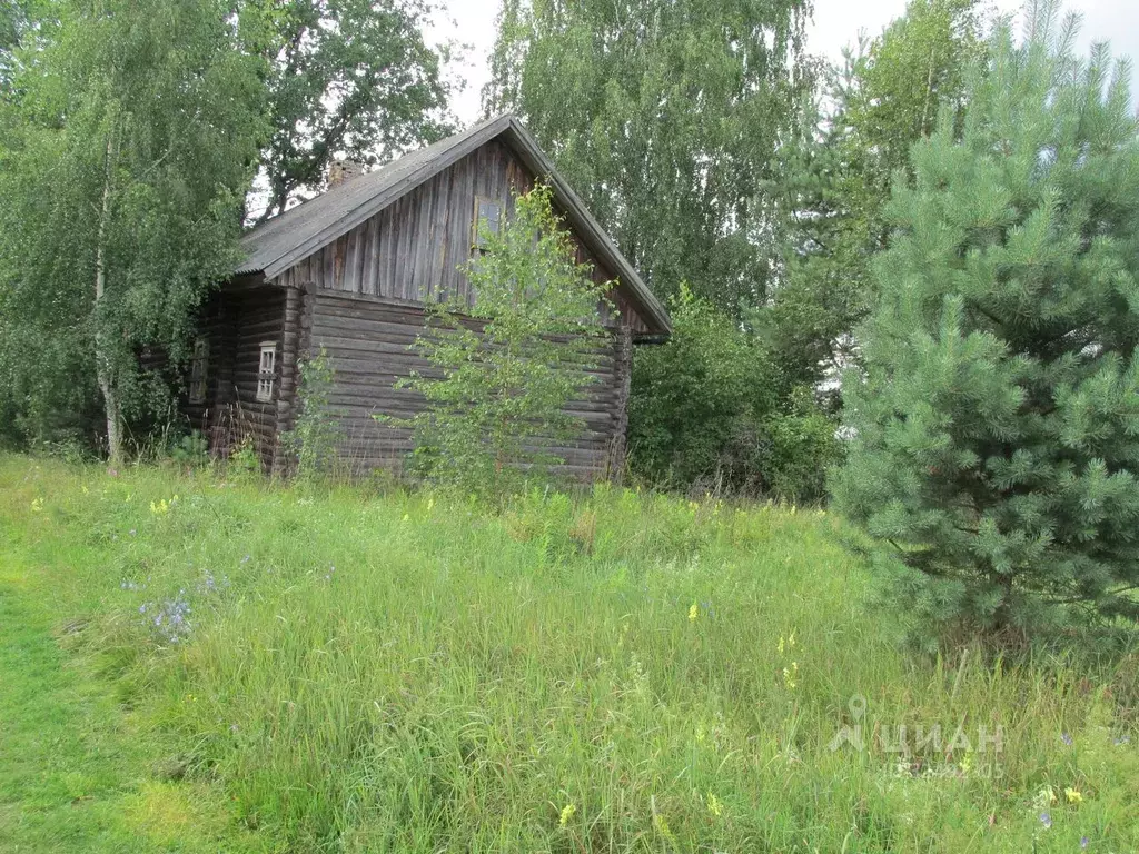 Село в череповецком районе