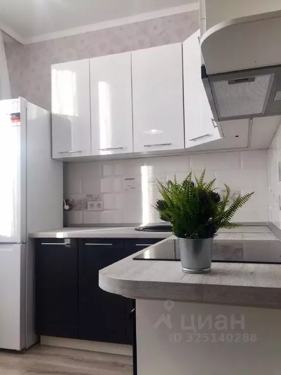 1-к кв. Ростовская область, Ростов-на-Дону просп. Маршала Жукова (39.0 ... - Фото 2