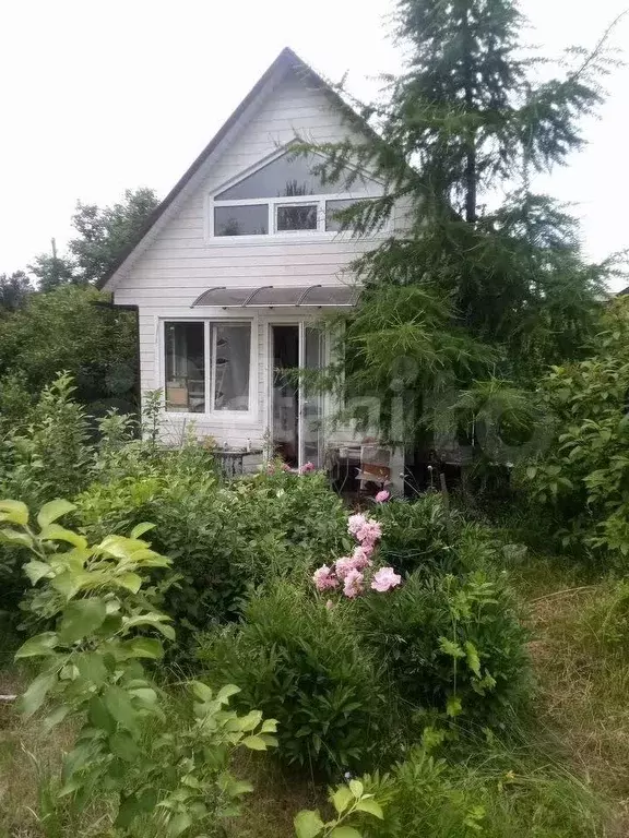 Дача 24 м на участке 16 сот. - Фото 0
