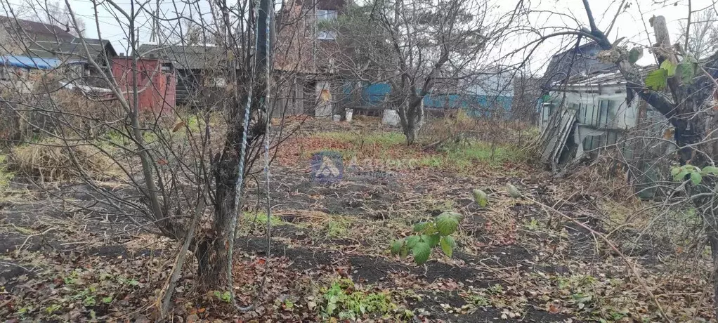 Участок в Тюменская область, Тюмень Мелиоратор садовое товарищество, ... - Фото 2