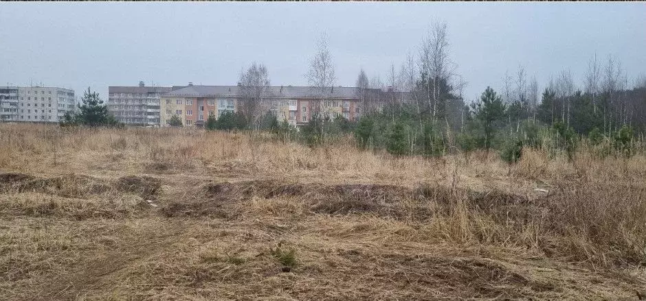 Участок 1,41 га (ИЖС) - Фото 1