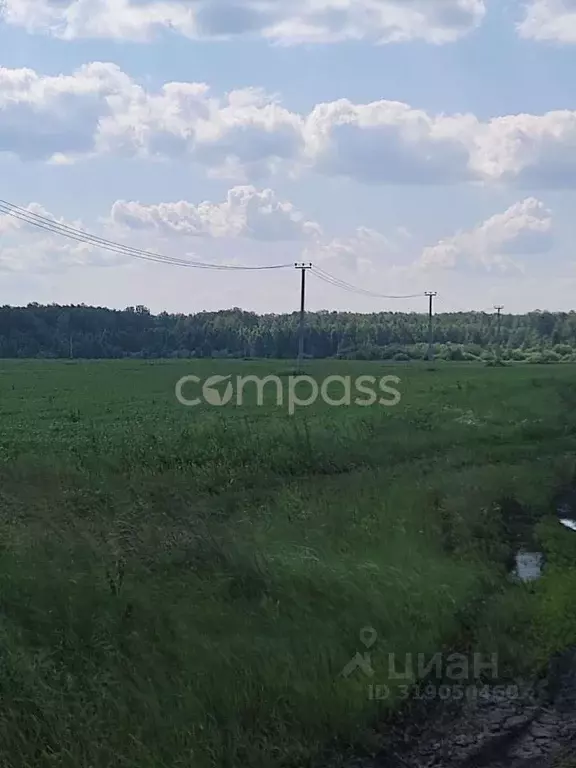 Участок в Тюменская область, Тюменский район, д. Ушакова проезд ... - Фото 1