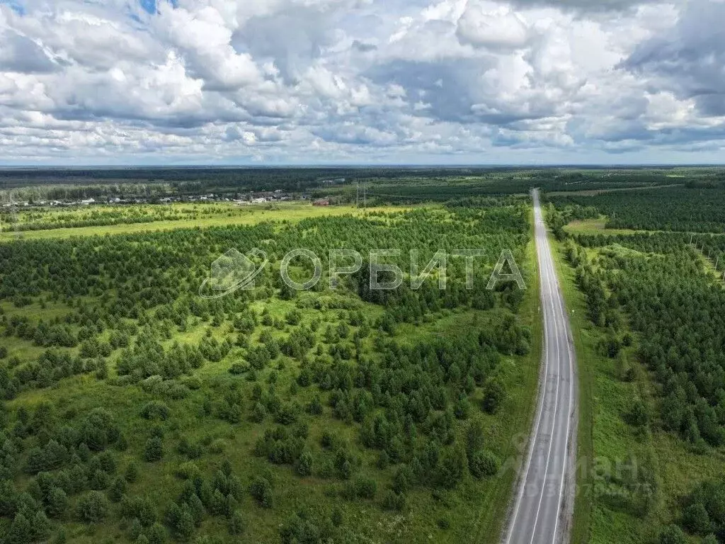 Участок в Тюменская область, Тюменский район, с. Кулига  (100.0 сот.) - Фото 1