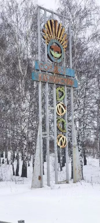 1-к кв. Ульяновская область, Ульяновск городской округ, с. Карлинское ... - Фото 1
