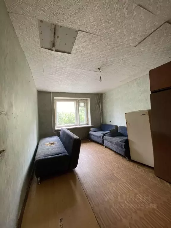 Комната Владимирская область, Кольчугино Коллективная ул., 35 (17.8 м) - Фото 0