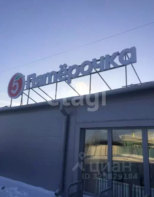 Торговая площадь в Тюменская область, с. Исетское ул. Мира, 43 (439 м) - Фото 1