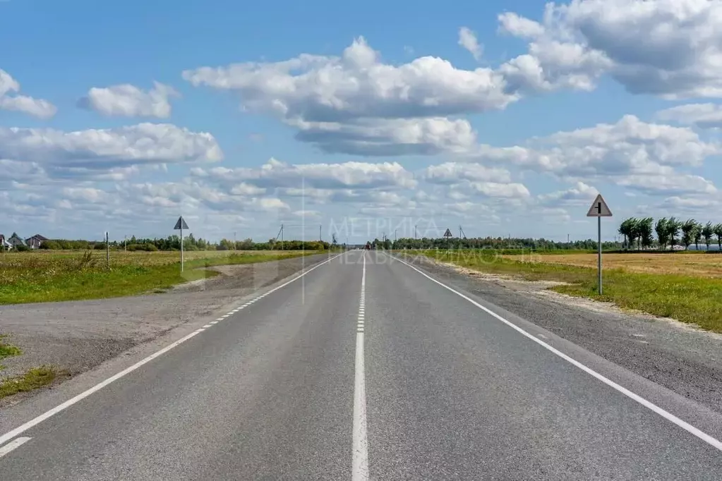 Участок в Тюменская область, Тюменский район, с. Борки ул. Шешукова ... - Фото 1