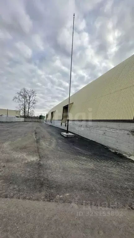 Склад в Новосибирская область, Новосибирск ул. Авиастроителей, 30Вк1 ... - Фото 2