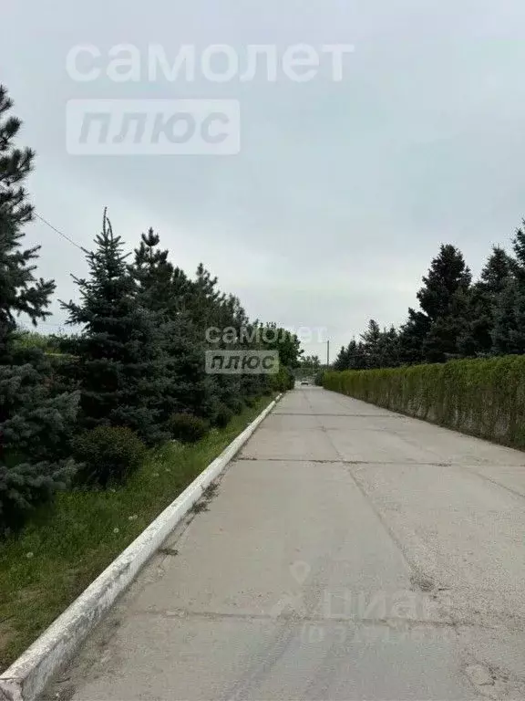 Участок в Волгоградская область, Краснослободск Среднеахтубинский ... - Фото 2