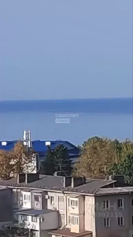 Студия Краснодарский край, Сочи Адлер жилрайон, ул. Орбитовская, 17А ... - Фото 0