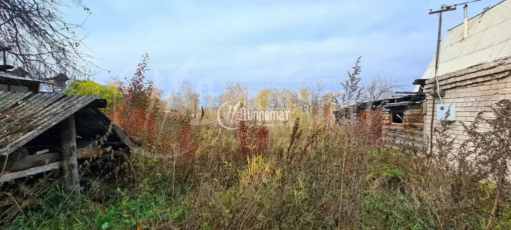 Участок в Курганская область, Кетовский муниципальный округ, д. Лукино ... - Фото 2