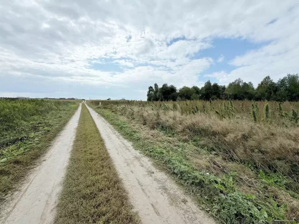 Участок в Тюменская область, Тюменский муниципальный округ, с. Борки  ... - Фото 1