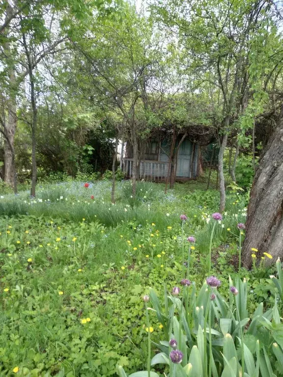Участок в Курская область, Курск Курск СНТ,  (5.2 сот.) - Фото 1