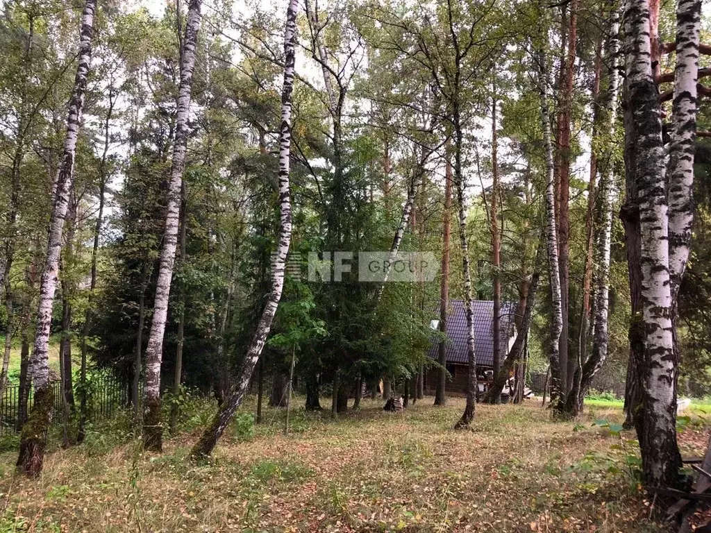 Участок в Московская область, Одинцовский городской округ, д. ... - Фото 1