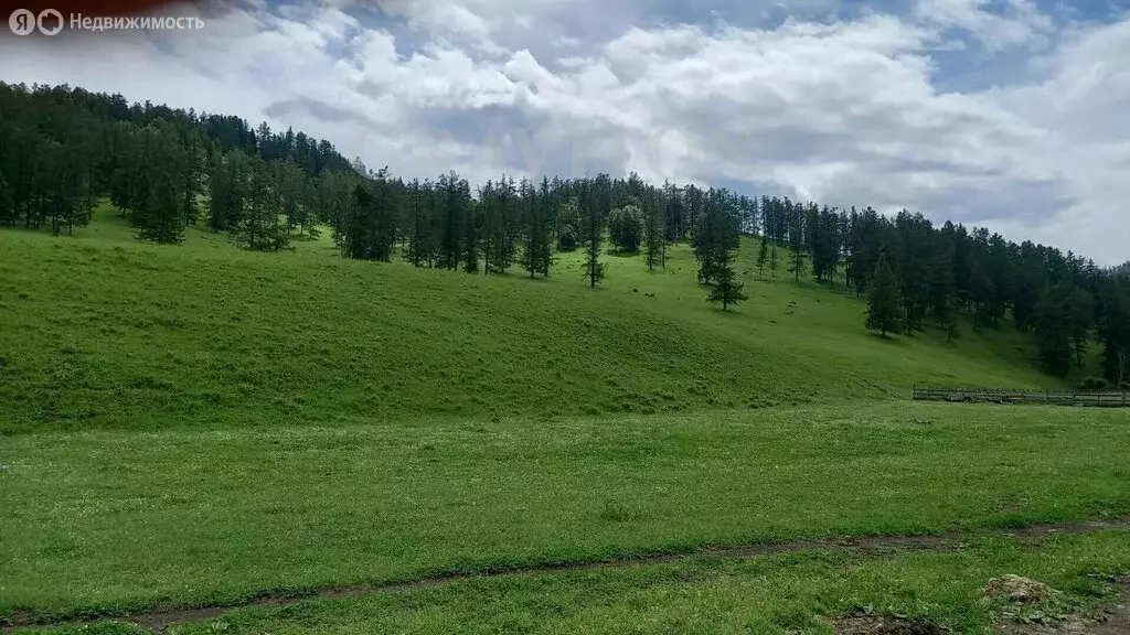 Участок в Усть-Канский район, село Козуль (56 м) - Фото 2