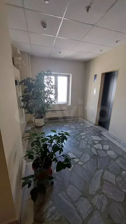 Офис, 22.5 м - Фото 1