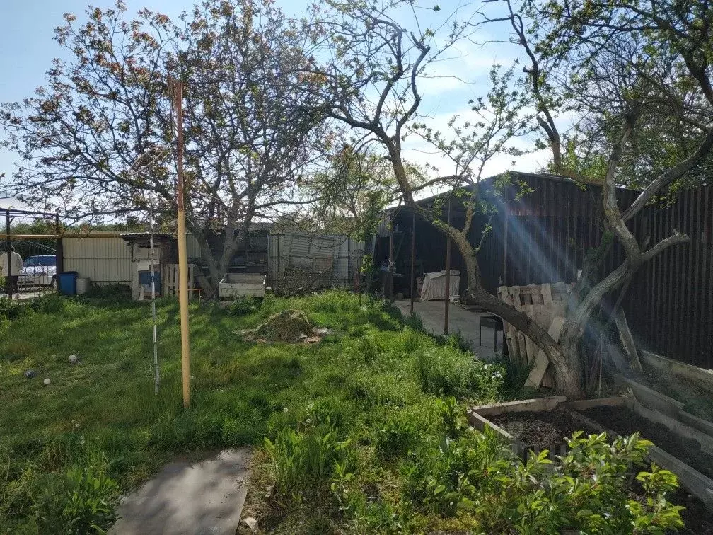 Дом в Краснодарский край, Анапа муниципальный округ, Красный хут. ул. ... - Фото 2