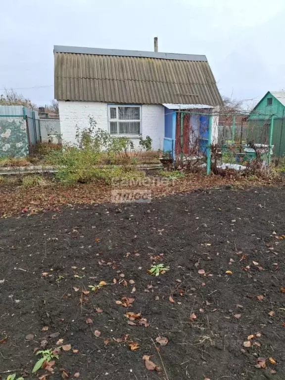 Дом в Курская область, Касторенский район, Поселок Новокасторное ... - Фото 0
