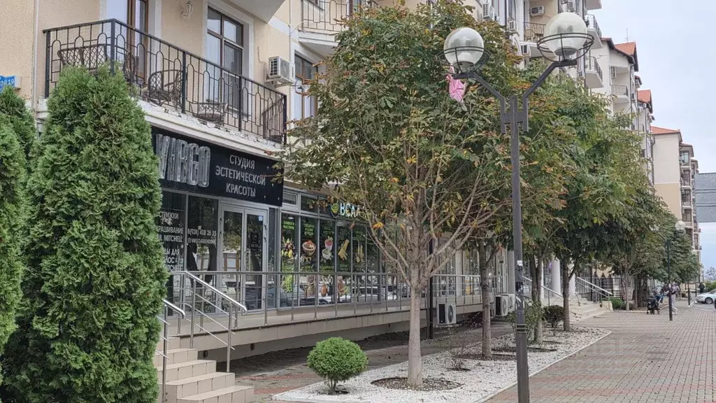 Помещение свободного назначения в Краснодарский край, Геленджик ... - Фото 2