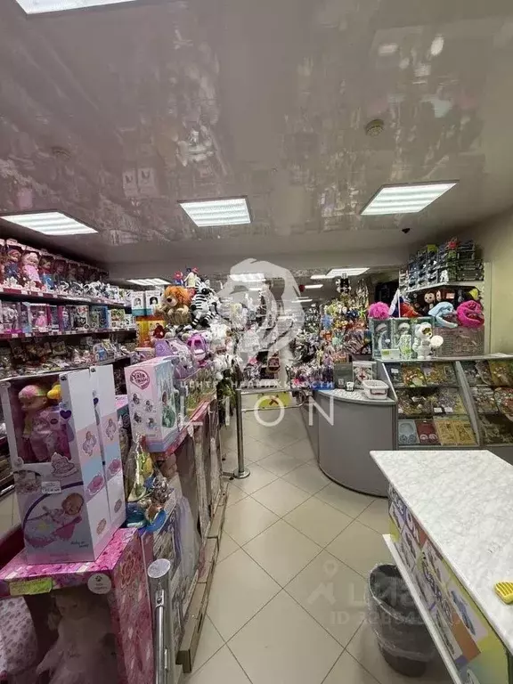 Торговая площадь в Белгородская область, Белгород просп. Богдана ... - Фото 2