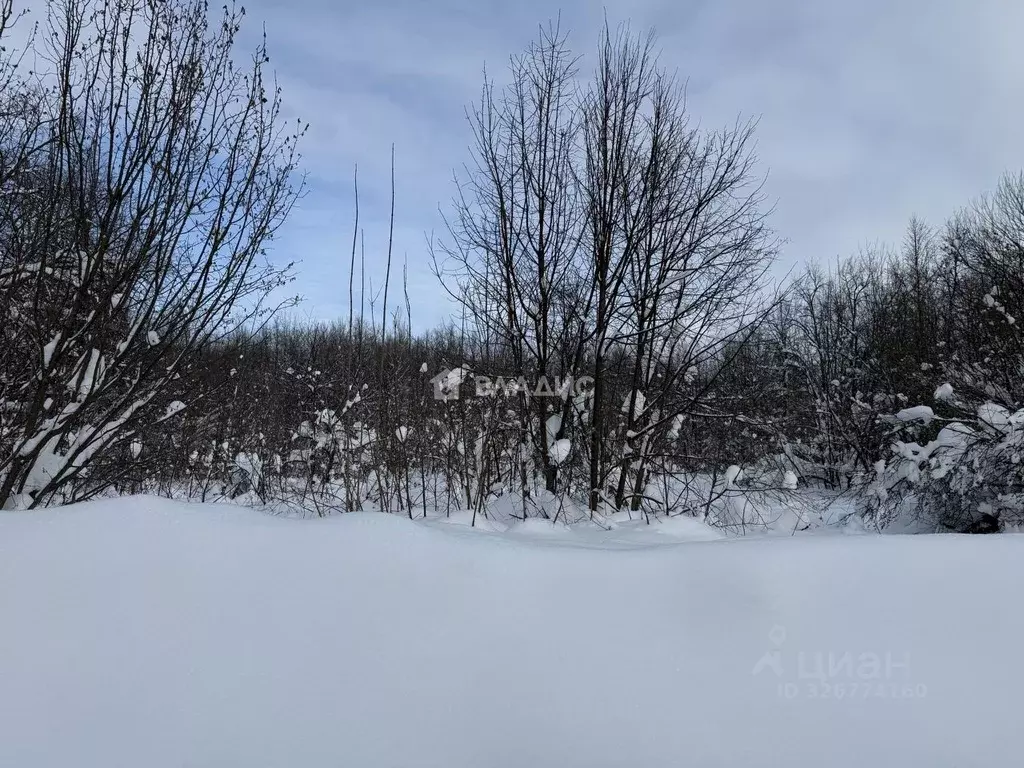 Участок в Пензенская область, Шемышейский район, пос. Янго-Пря Лесная ... - Фото 1